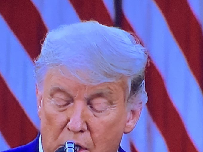 Trump Hair 