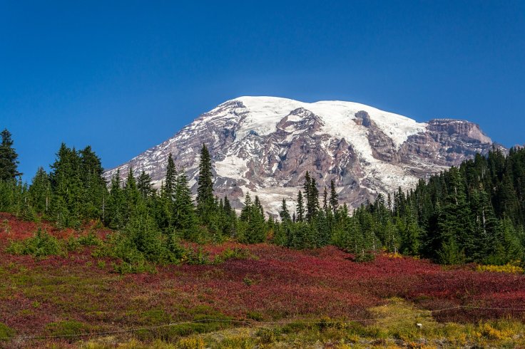 Mount Rainier National Park Mount Rainier National Park