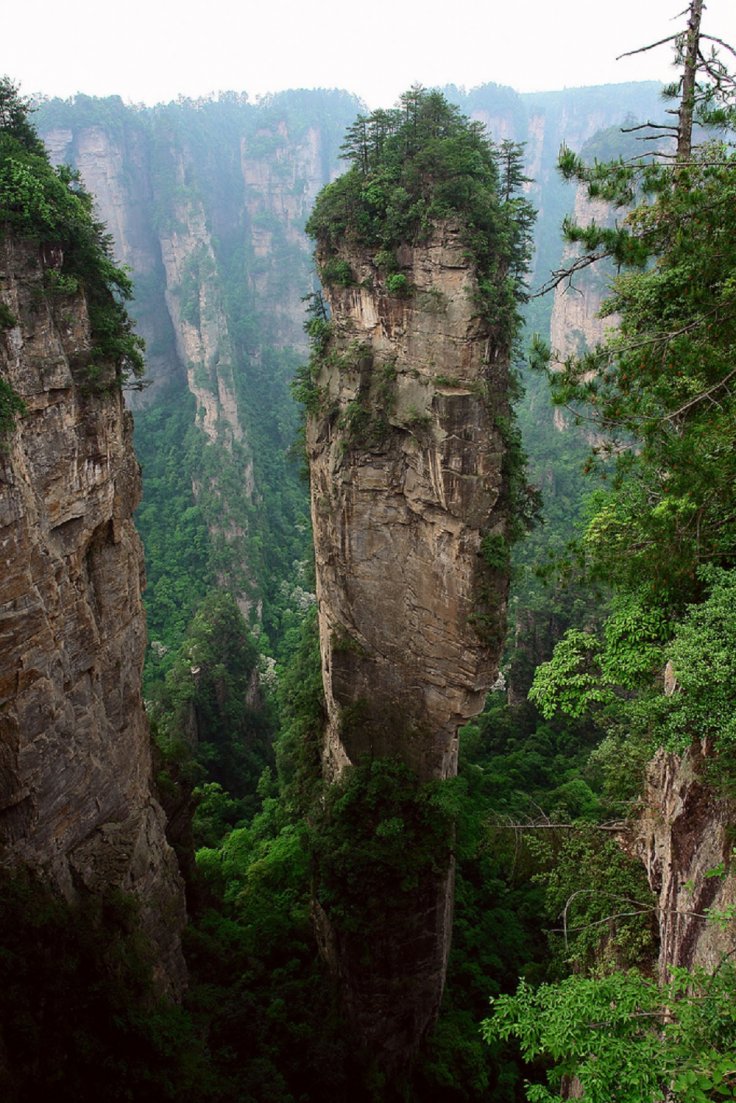Avatar Hallelujah Mountain Avatar Hallelujah Mountain