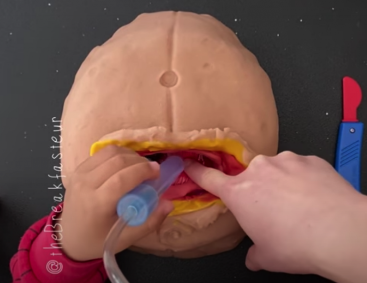 Play-Doh C-Section