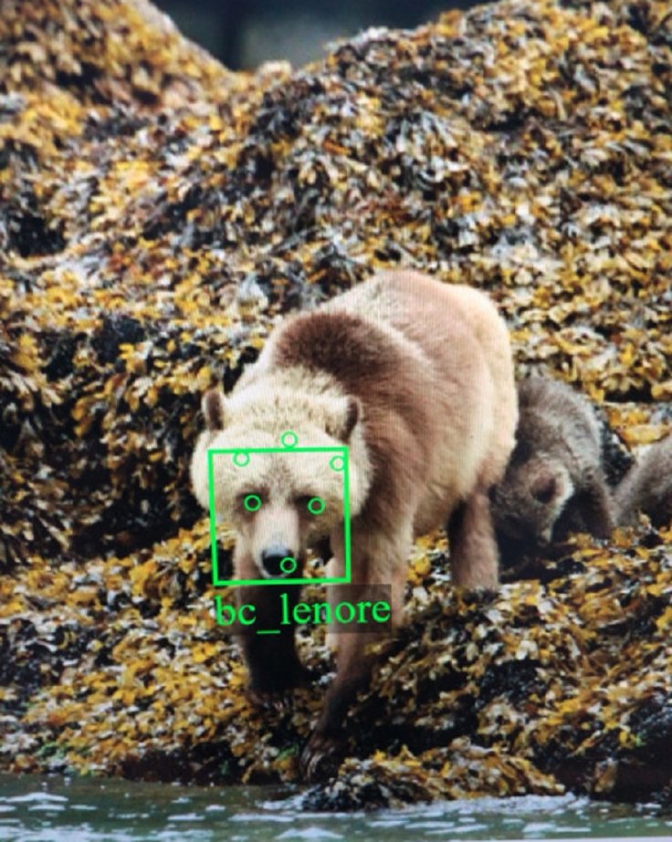 Facial recognition Facial recognition