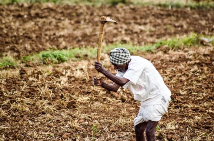 An Indian farmer