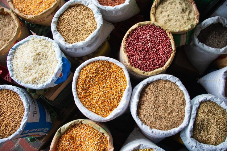 Grains Grains