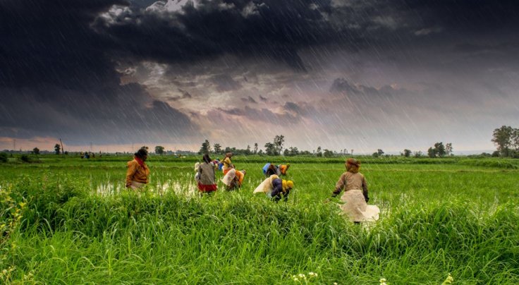 Farming Farming