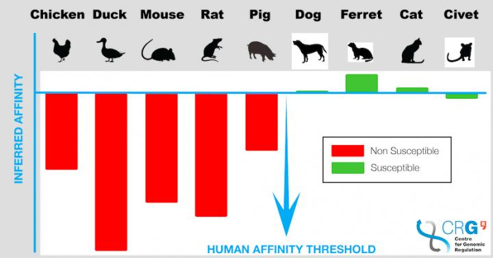  SARS-CoV-2 across eight different species