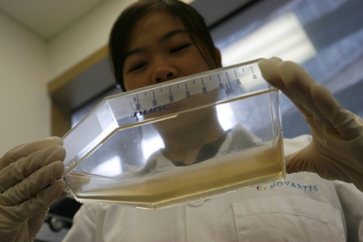 First dengue death in singapore in 2016