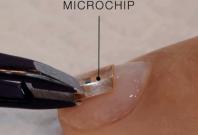 Microchip on nail Microchip on nail