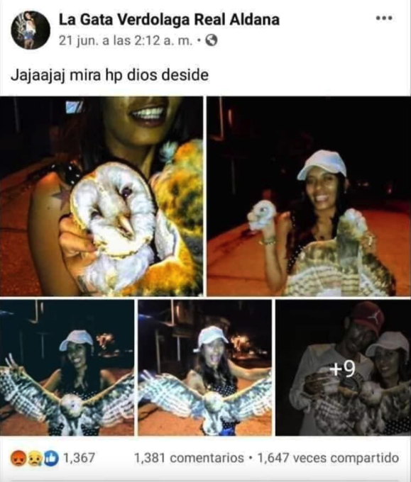 Mileydis Aldana Mileydis Aldana