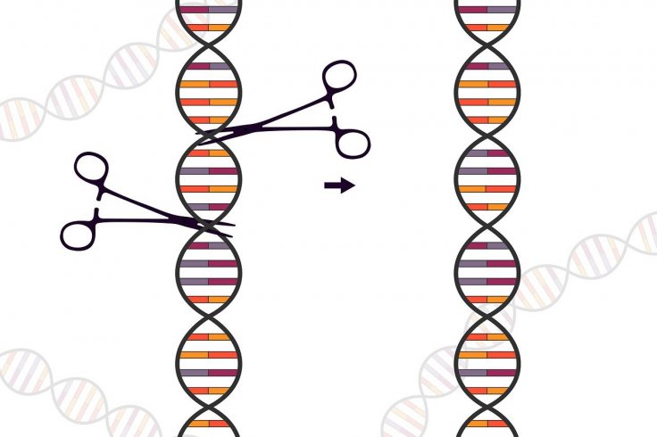 CRISPR