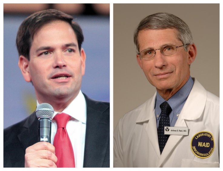 Rubio calls Fauci liar 