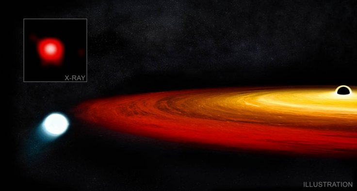 Star Survived Black Hole Star Survived Black Hole