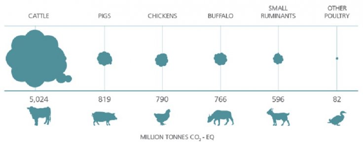 Emission by species