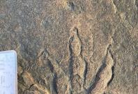 Dinosaur footprint 