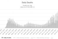 coronavirus death chart