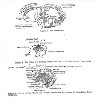 CIA report