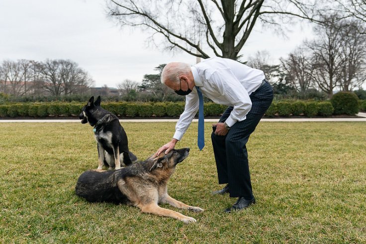 Champ and Major Biden