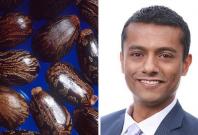 Castor beans Dr Saeem