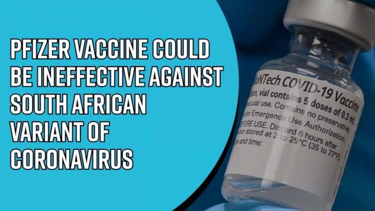 pfizer-vaccine-could-be-ineffective-against-south-african-variant-of-coronavirus