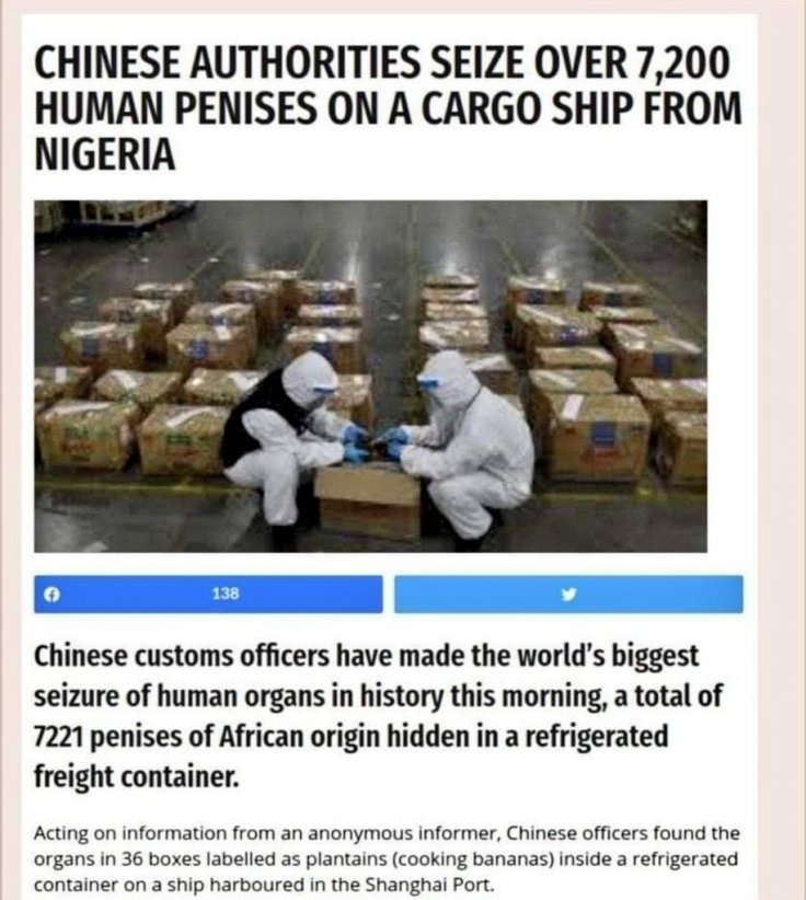 human penises human penises