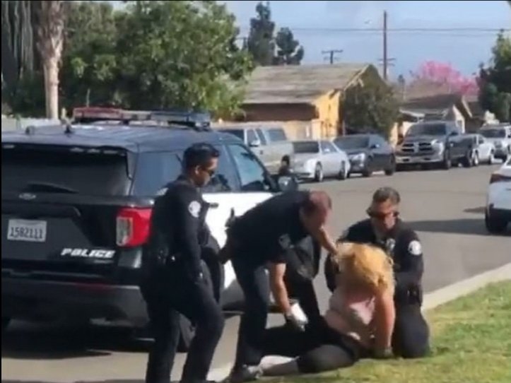 Cop punching woman