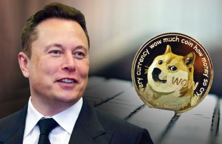Elon Musk doge