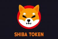 Shiba Inu Cryptocurrency Coin