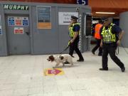 Sniffer dogs for Covid-19 detection