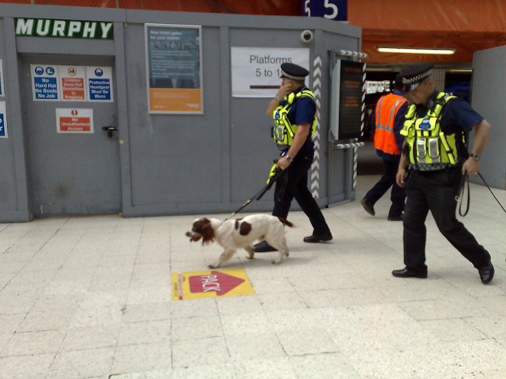 Sniffer dogs for Covid-19 detection Sniffer dogs for Covid-19 detection