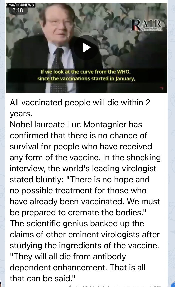 Nobel Prize winner Luc Montagnier 