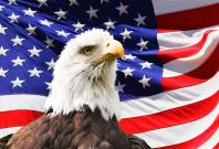 USA American Flag Bald White Eagle