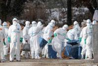 Picture for representation Picture for representation