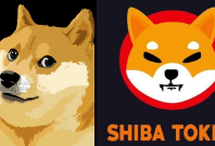 Dogecoin Shiba Inu Cryptocurrency