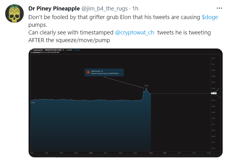 Elon Musk Pump and Dump Dogecoin Scheme