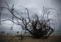 Picture for representation Picture for representation