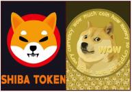 Shiba Inu Vs Dogecoin Cryptocurrency