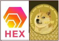 Hex Coin Dogecoin Cryptocurrency