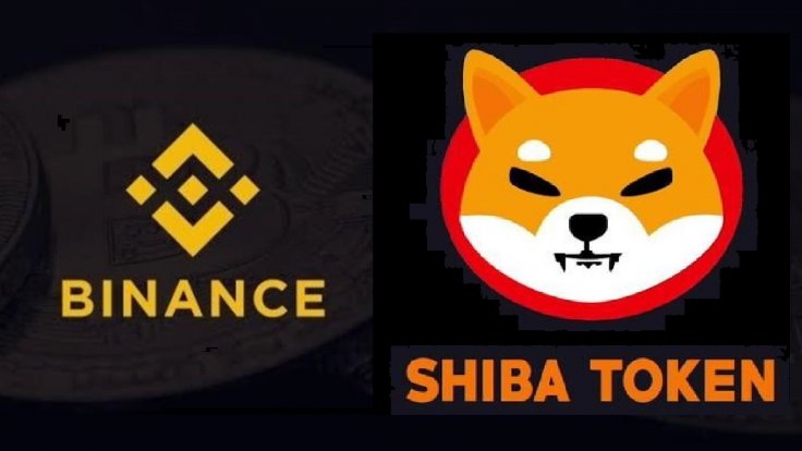 Binance Shiba Inu Cryptocurrency Coin Token