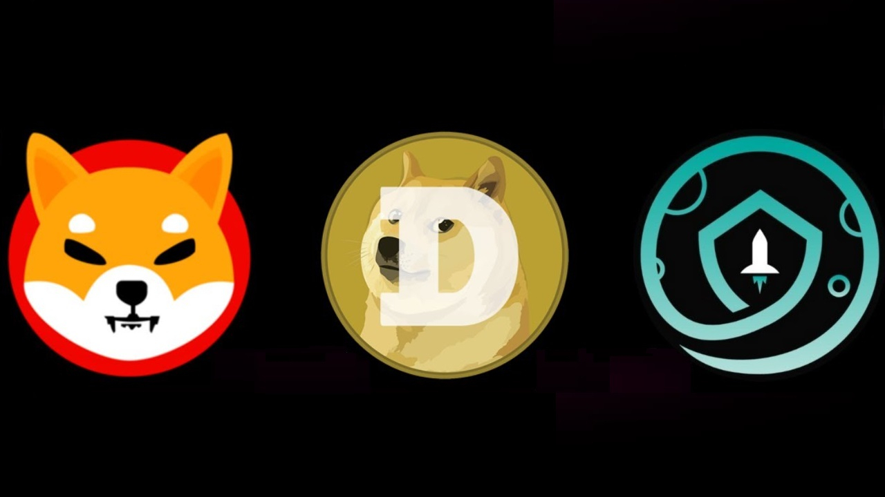 Doge, Shiba Inu and SafeMoon added 78 Million First-time Investors to ...