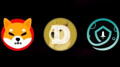Shiba Inu Dogecoin SafeMoon Cryptocurrency Coins