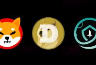 Shiba Inu Dogecoin SafeMoon Cryptocurrency Coins