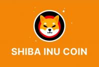 Shiba Inu Cryptocurrency Coin SHIB Token