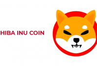 Shiba Inu SHIB Cryptocurrency Coin Token