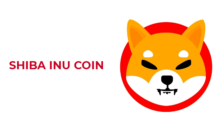 Shiba Inu SHIB Cryptocurrency Coin Token