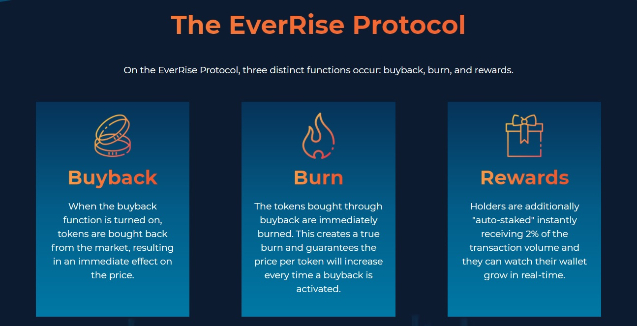everrise cryptocurrency coin token protocol tokenomics