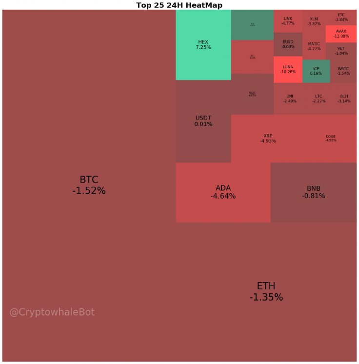 HEX Coin rises when crypto market down