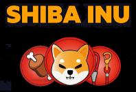 Shiba Inu Coin Token Cryptocurrency