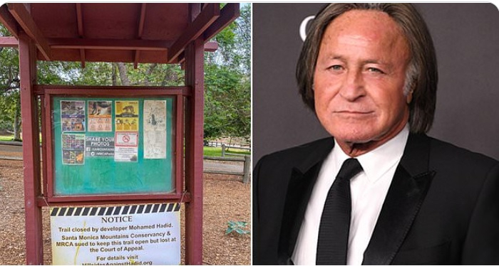 Mohamed Hadid Mohamed Hadid