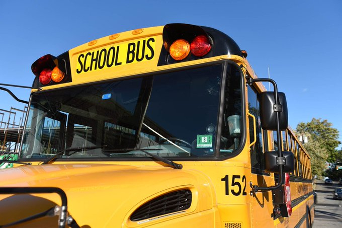 school bus school bus