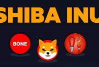 Shiba Inu Cryptocurrency Coin SHIB Token BoneLeash