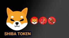 Shiba Inu Coin Token Cryptocurrency